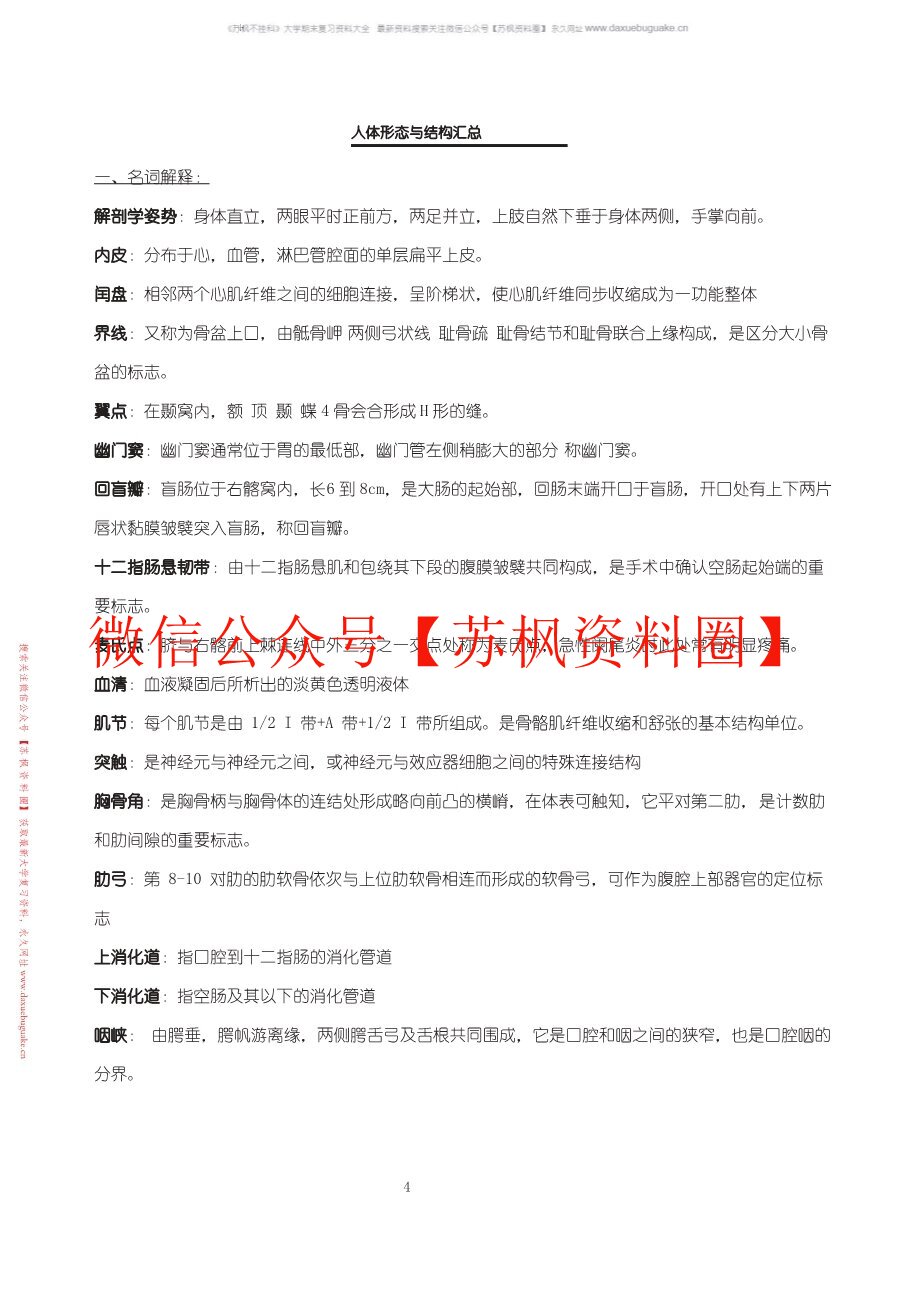人体形态与结构